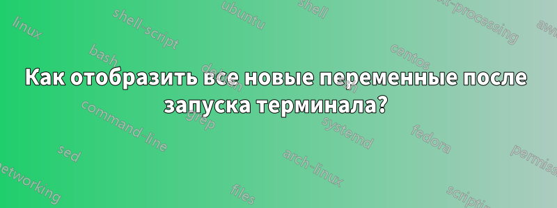 Как отобразить все новые переменные после запуска терминала?