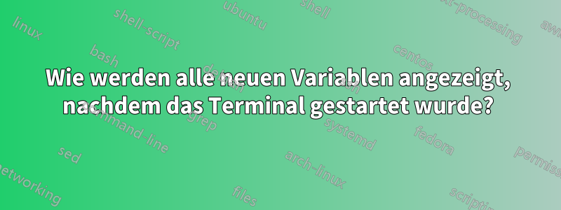 Wie werden alle neuen Variablen angezeigt, nachdem das Terminal gestartet wurde?