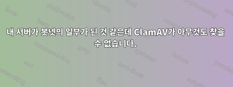 내 서버가 봇넷의 일부가 된 것 같은데 ClamAV가 아무것도 찾을 수 없습니다.