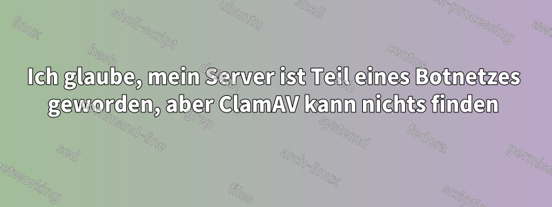 Ich glaube, mein Server ist Teil eines Botnetzes geworden, aber ClamAV kann nichts finden