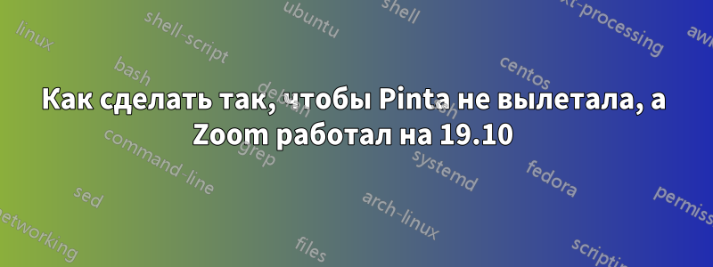 Как сделать так, чтобы Pinta не вылетала, а Zoom работал на 19.10