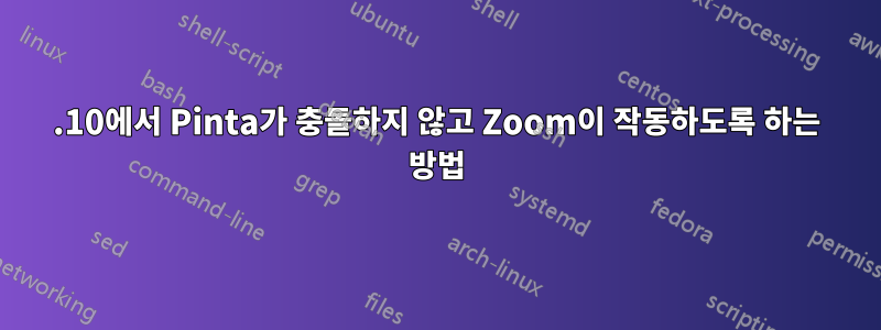 19.10에서 Pinta가 충돌하지 않고 Zoom이 작동하도록 하는 방법