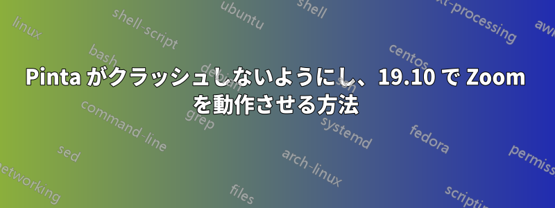 Pinta がクラッシュしないようにし、19.10 で Zoom を動作させる方法