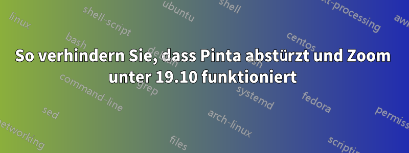 So verhindern Sie, dass Pinta abstürzt und Zoom unter 19.10 funktioniert