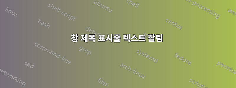 창 제목 표시줄 텍스트 잘림