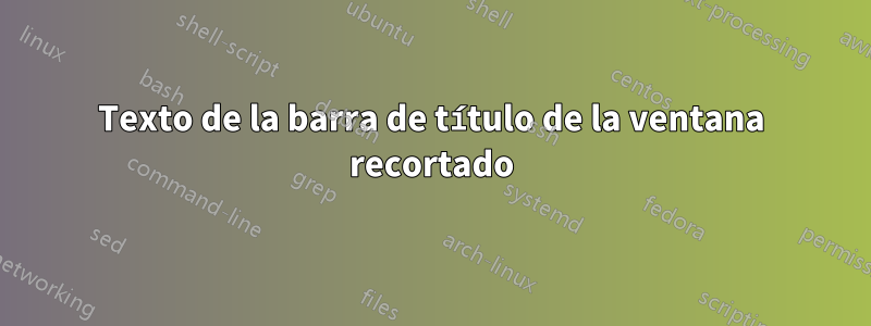 Texto de la barra de título de la ventana recortado