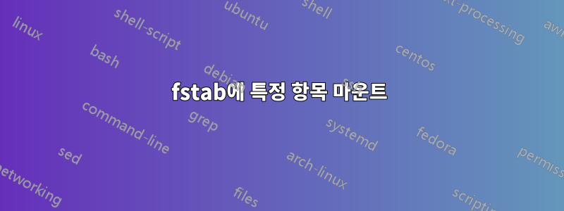 fstab에 특정 항목 마운트