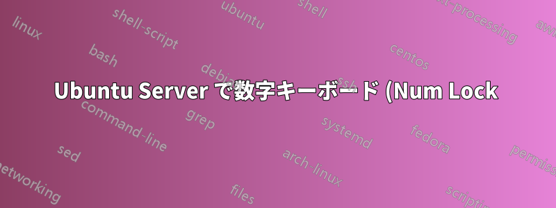 Ubuntu Server で数字キーボード (Num Lock) をデフォルトで有効にする