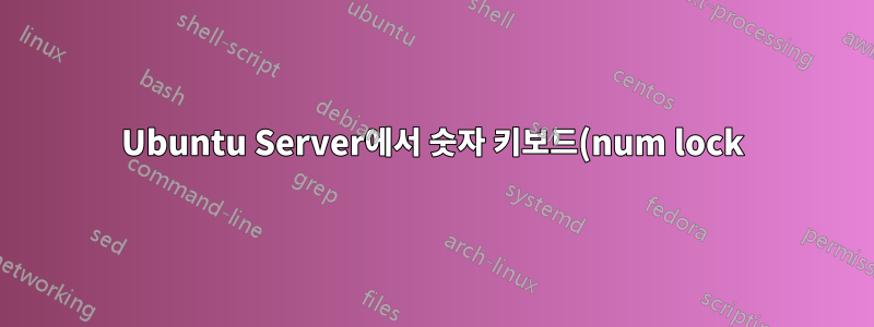 Ubuntu Server에서 숫자 키보드(num lock)를 기본적으로 활성화합니다.