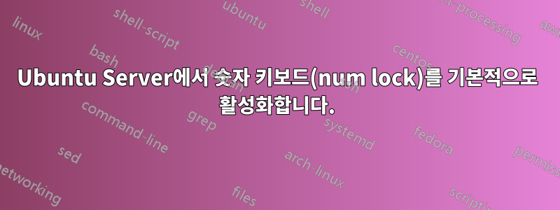 Ubuntu Server에서 숫자 키보드(num lock)를 기본적으로 활성화합니다.