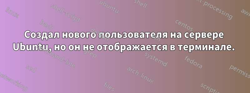 Создал нового пользователя на сервере Ubuntu, но он не отображается в терминале.