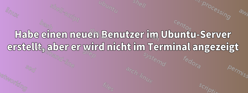 Habe einen neuen Benutzer im Ubuntu-Server erstellt, aber er wird nicht im Terminal angezeigt