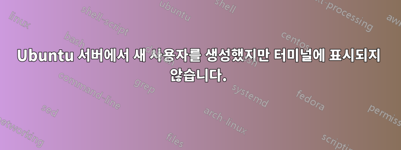 Ubuntu 서버에서 새 사용자를 생성했지만 터미널에 표시되지 않습니다.