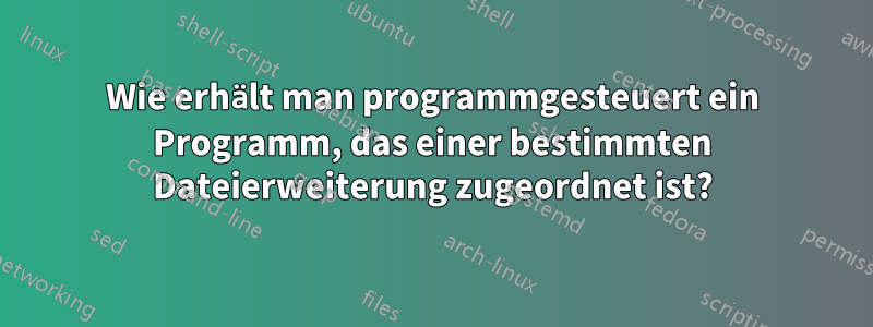 Wie erhält man programmgesteuert ein Programm, das einer bestimmten Dateierweiterung zugeordnet ist?