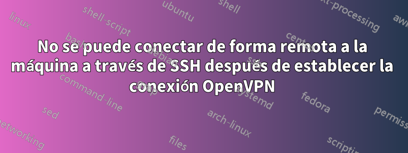 No se puede conectar de forma remota a la máquina a través de SSH después de establecer la conexión OpenVPN