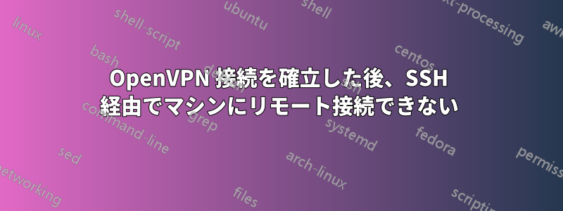 OpenVPN 接続を確立した後、SSH 経由でマシンにリモート接続できない