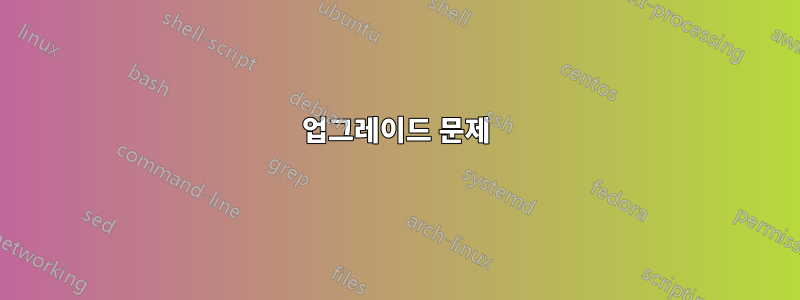 업그레이드 문제