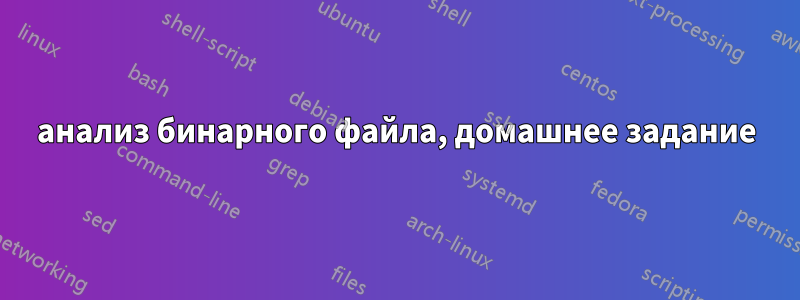 анализ бинарного файла, домашнее задание