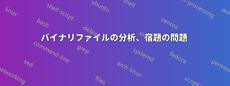 バイナリファイルの分析、宿題の問題