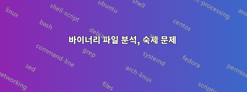 바이너리 파일 분석, 숙제 문제