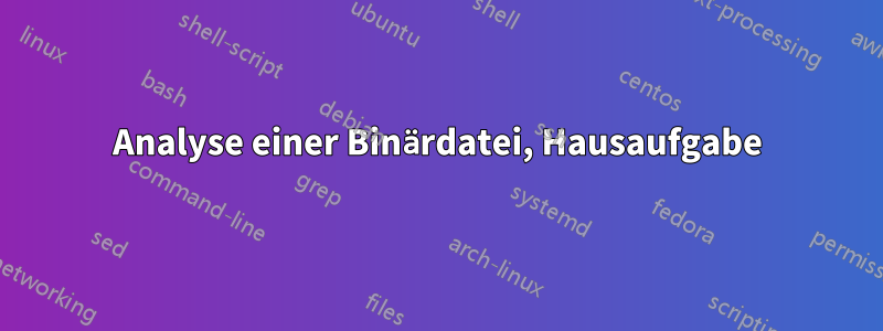 Analyse einer Binärdatei, Hausaufgabe