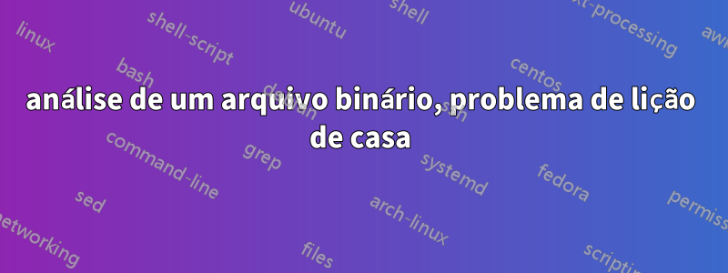 análise de um arquivo binário, problema de lição de casa