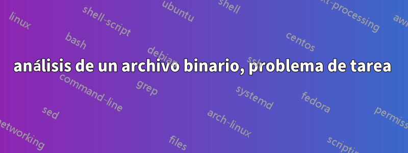 análisis de un archivo binario, problema de tarea