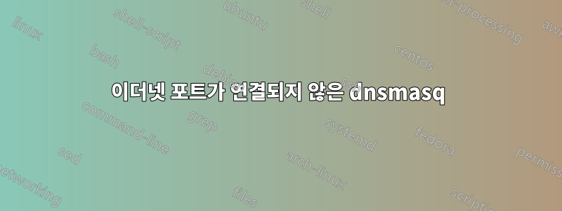 이더넷 포트가 연결되지 않은 dnsmasq