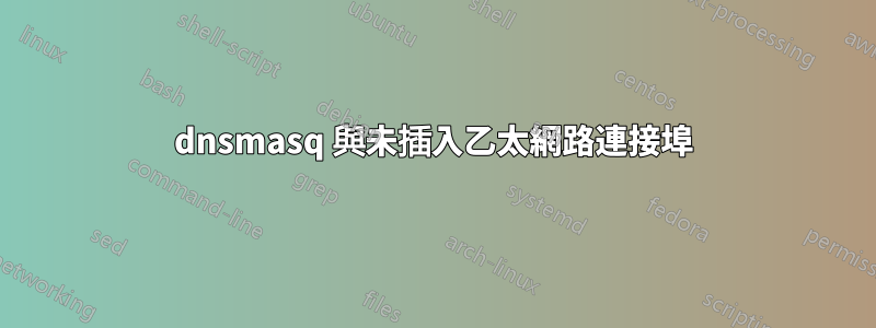 dnsmasq 與未插入乙太網路連接埠