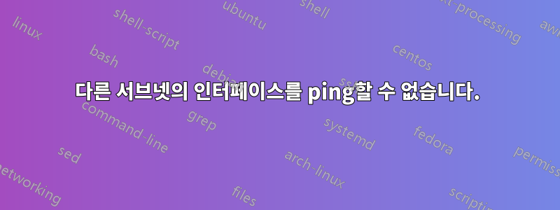 다른 서브넷의 인터페이스를 ping할 수 없습니다.