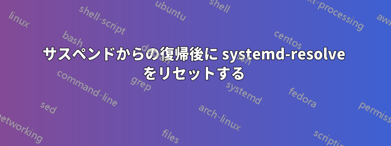 サスペンドからの復帰後に systemd-resolve をリセットする