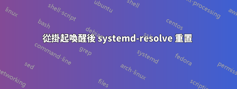 從掛起喚醒後 systemd-resolve 重置