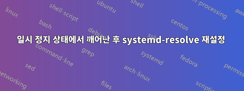 일시 정지 상태에서 깨어난 후 systemd-resolve 재설정