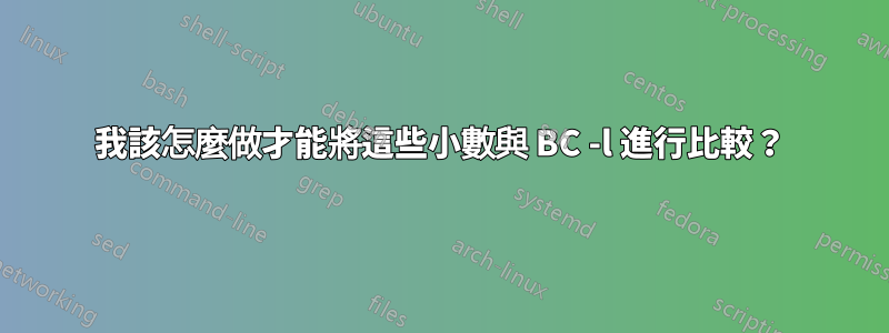 我該怎麼做才能將這些小數與 BC -l 進行比較？