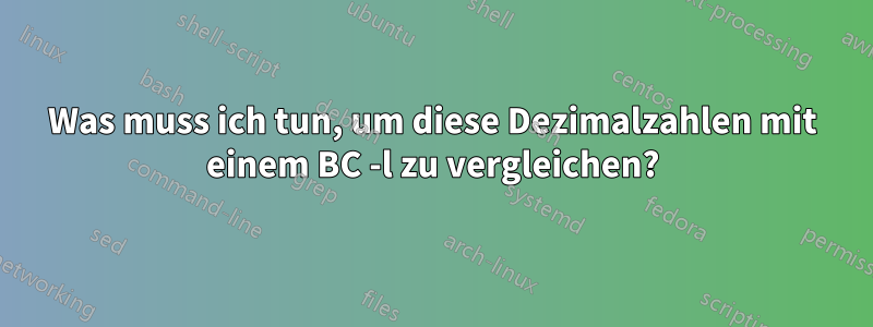 Was muss ich tun, um diese Dezimalzahlen mit einem BC -l zu vergleichen?