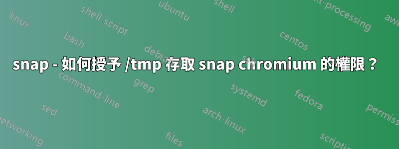 snap - 如何授予 /tmp 存取 snap chromium 的權限？ 