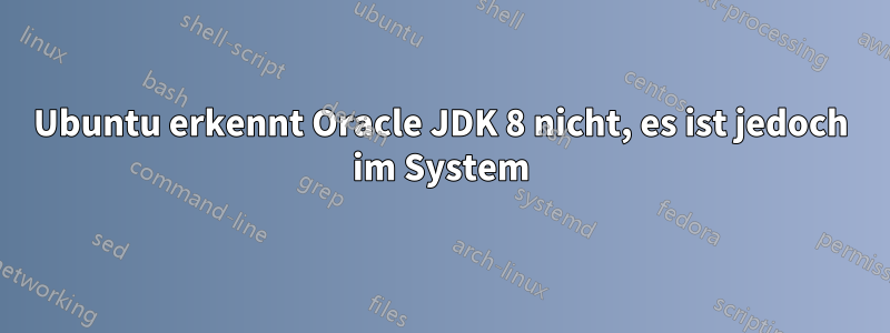 Ubuntu erkennt Oracle JDK 8 nicht, es ist jedoch im System