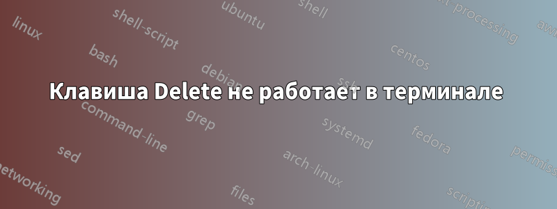 Клавиша Delete не работает в терминале