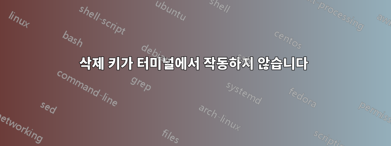 삭제 키가 터미널에서 작동하지 않습니다