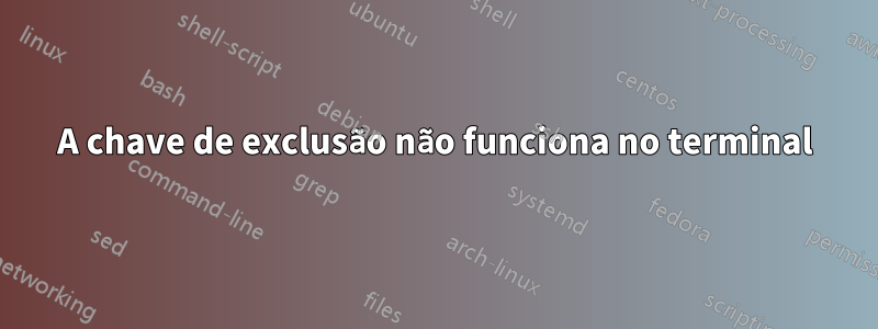 A chave de exclusão não funciona no terminal