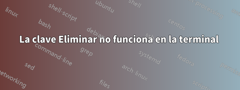 La clave Eliminar no funciona en la terminal