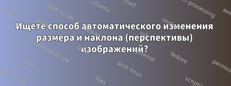 Ищете способ автоматического изменения размера и наклона (перспективы) изображений?