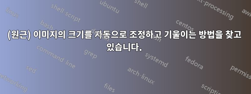 (원근) 이미지의 크기를 자동으로 조정하고 기울이는 방법을 찾고 있습니다.