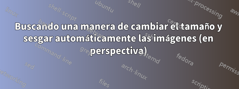 Buscando una manera de cambiar el tamaño y sesgar automáticamente las imágenes (en perspectiva)