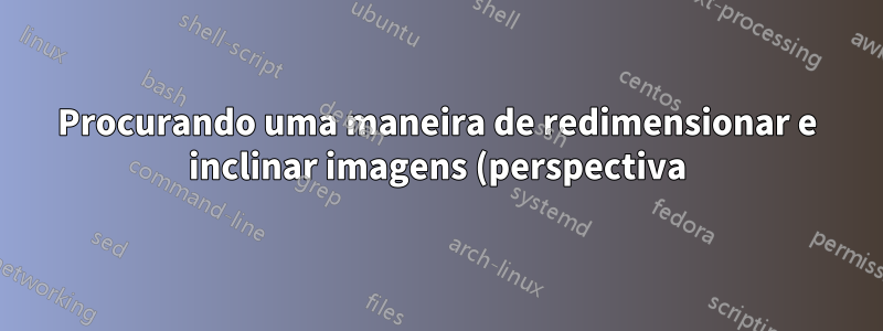 Procurando uma maneira de redimensionar e inclinar imagens (perspectiva) automaticamente