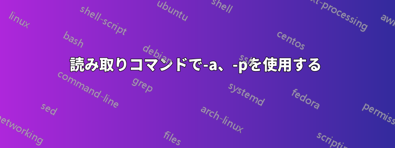 読み取りコマンドで-a、-pを使用する