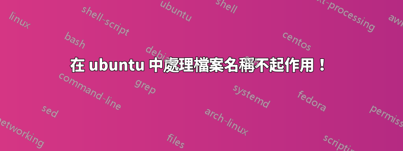 在 ubuntu 中處理檔案名稱不起作用！