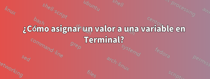 ¿Cómo asignar un valor a una variable en Terminal?