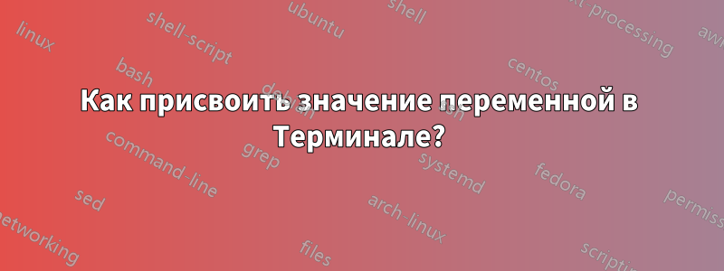 Как присвоить значение переменной в Терминале?