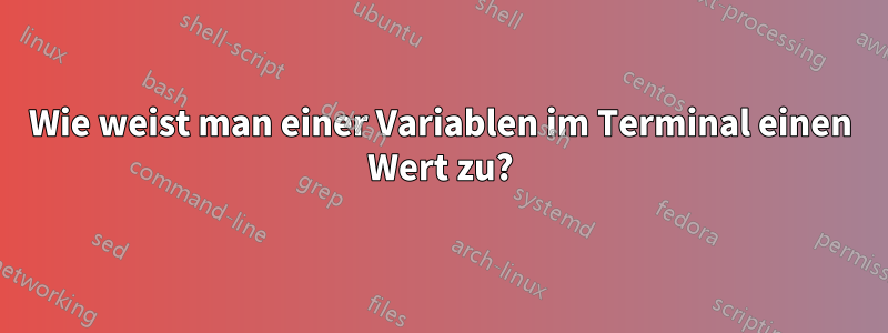 Wie weist man einer Variablen im Terminal einen Wert zu?